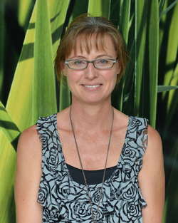 Doctor Team - NP Elle Dagley Doctor Team - NP Elle Dagley